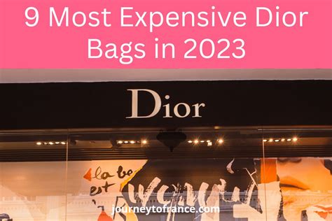 buy dior handbags|most expensive dior bag.